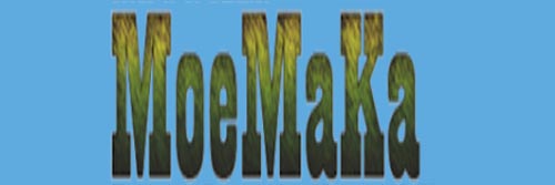 3108_addpicture_Moemaka.jpg