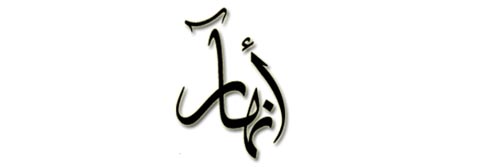 3458_addpicture_Anhaar.jpg