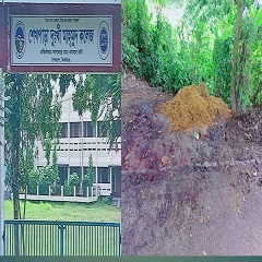 image-here
