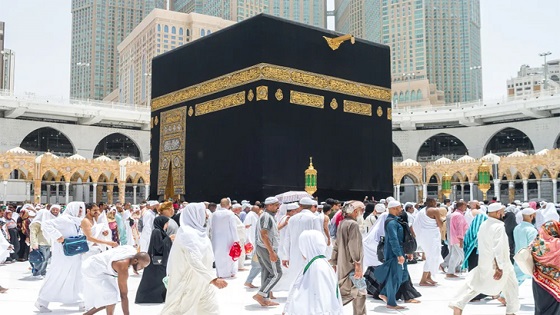 image-here