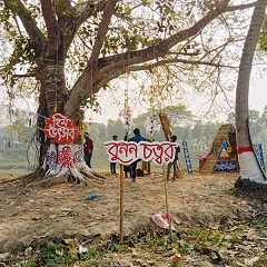 image-here