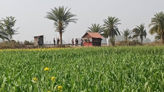 image-here