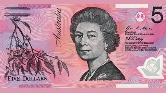image-here