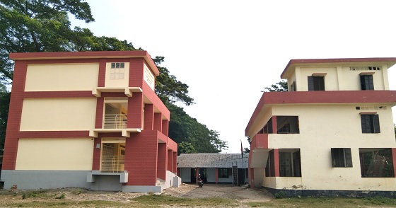 image-here