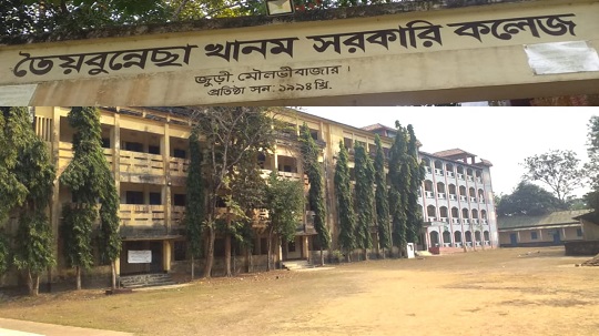 image-here