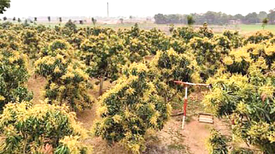 image-here