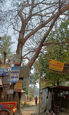 image-here