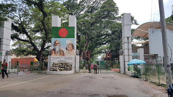 image-here