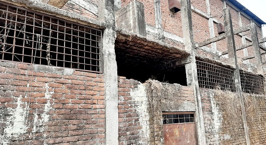 image-here