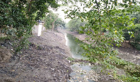 image-here