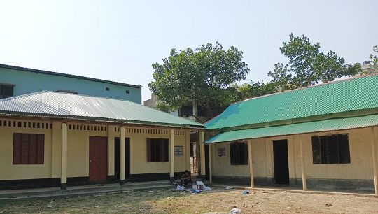 image-here