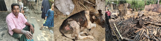 image-here