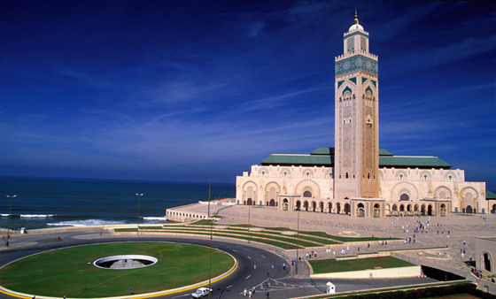 image-here