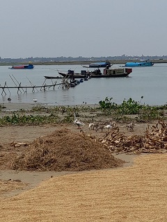 image-here
