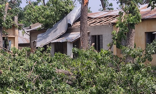 image-here