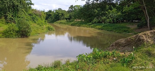 image-here