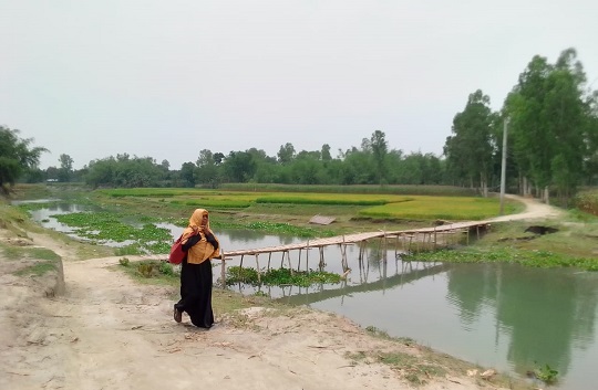 image-here
