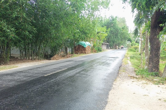 image-here