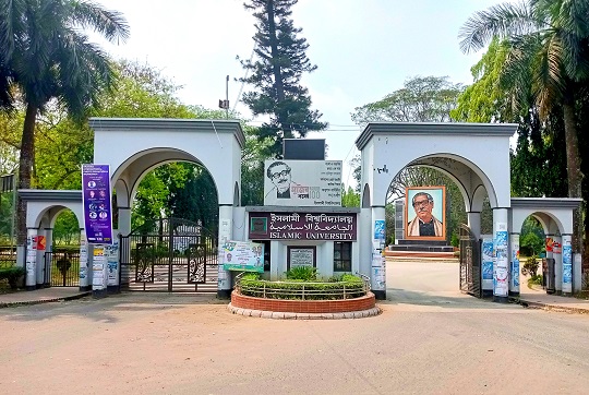image-here