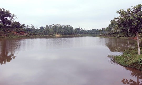 image-here