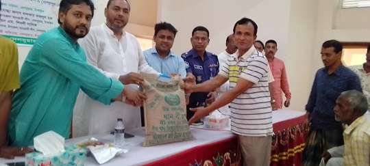 image-here
