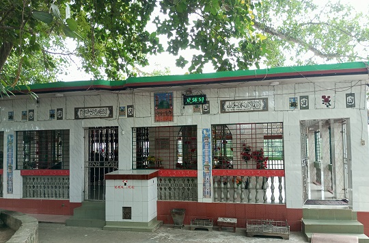 image-here