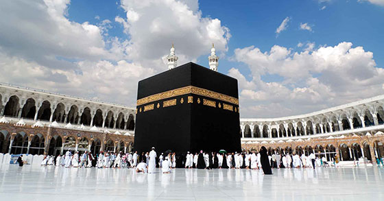 image-here