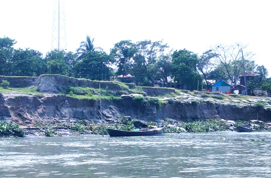 image-here