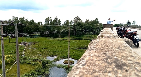 image-here