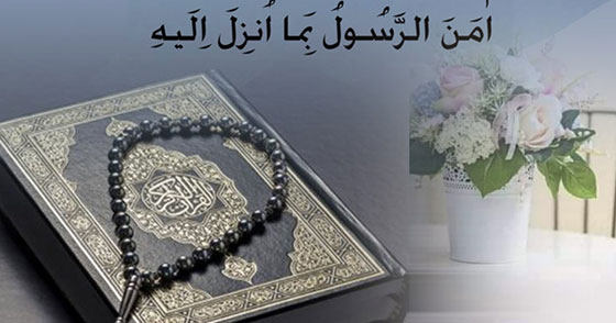 image-here