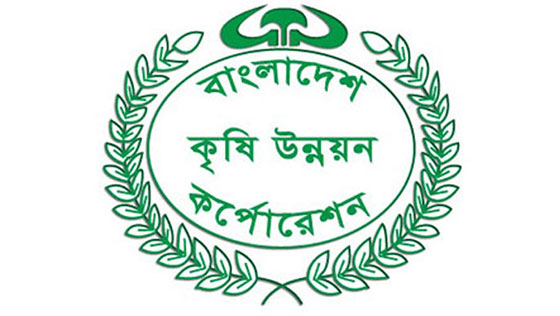 image-here