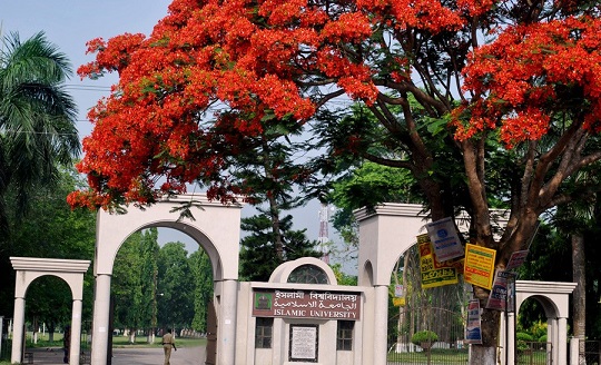 image-here