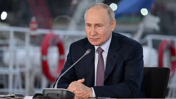 image-here