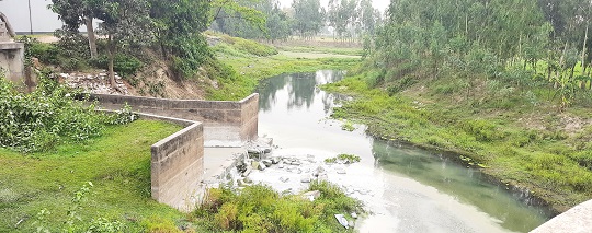 image-here