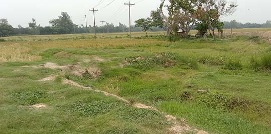 image-here