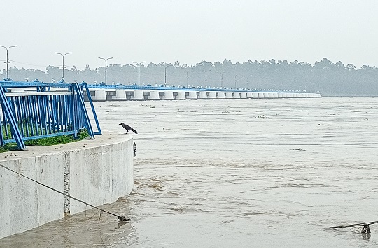 image-here