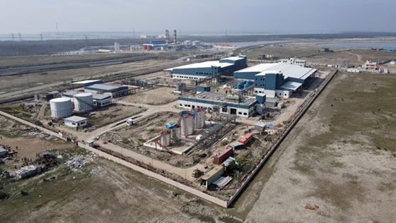 image-here