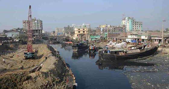 image-here