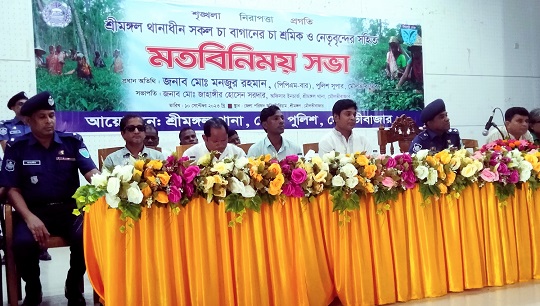 image-here