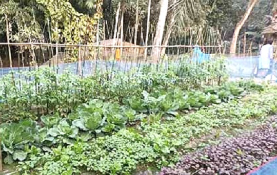 image-here