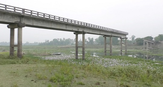 image-here