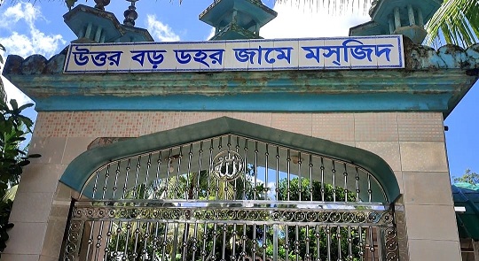 image-here