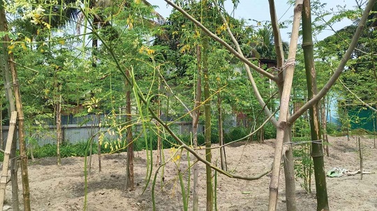 image-here