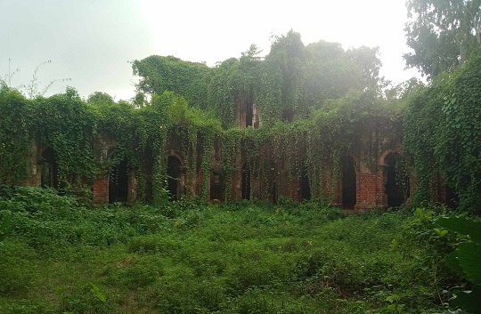 image-here