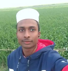 image-here