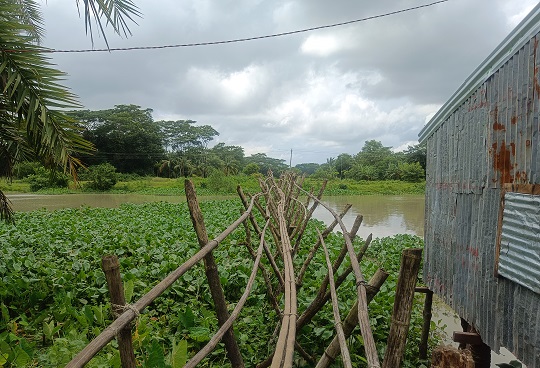 image-here