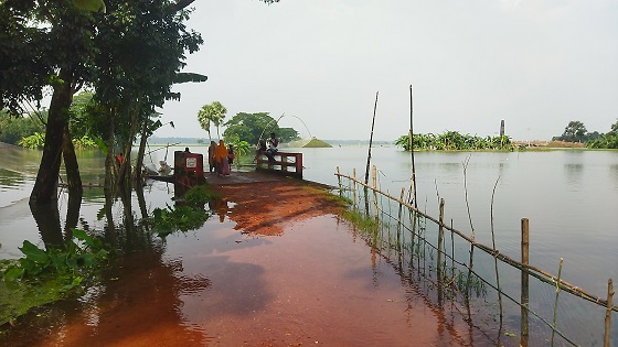 image-here