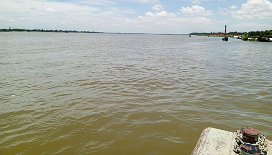 image-here
