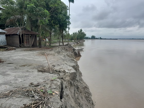 image-here