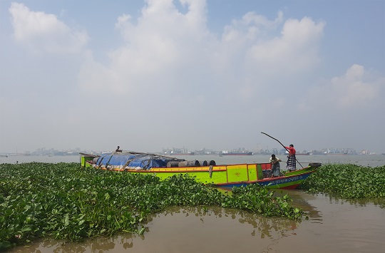 image-here